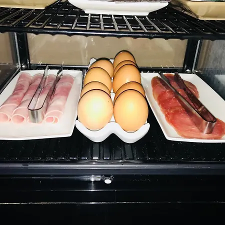 赛莱姆斯中心酒店