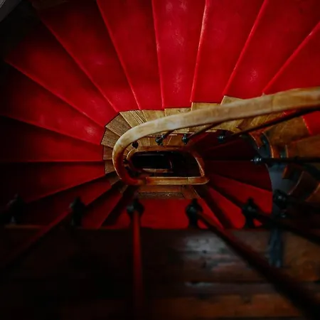 Отель Cecyl Centre